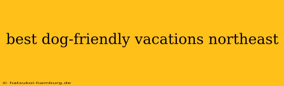 best dog-friendly vacations northeast