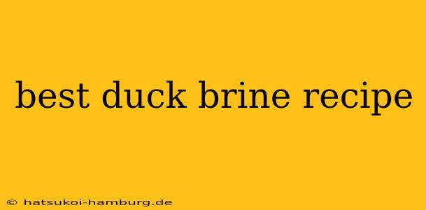 best duck brine recipe