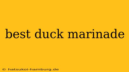 best duck marinade
