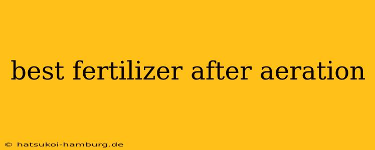 best fertilizer after aeration