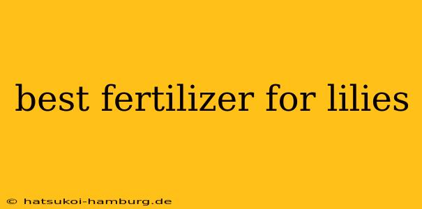 best fertilizer for lilies