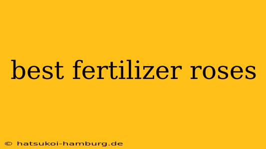 best fertilizer roses