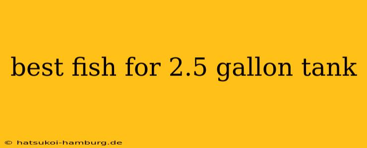 best fish for 2.5 gallon tank