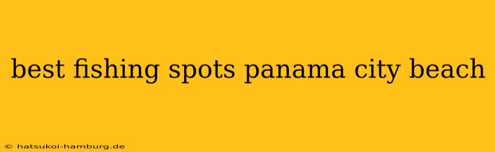 best fishing spots panama city beach