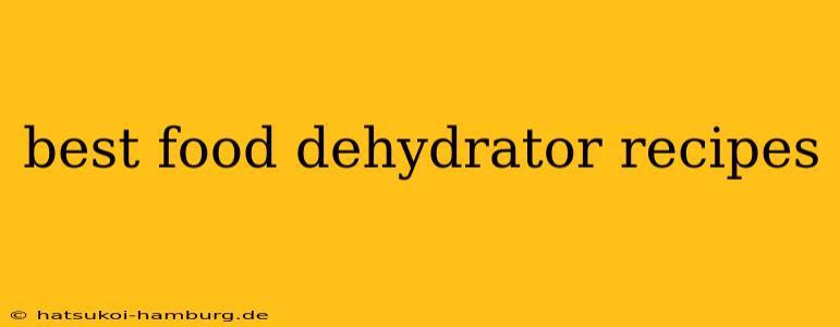 best food dehydrator recipes
