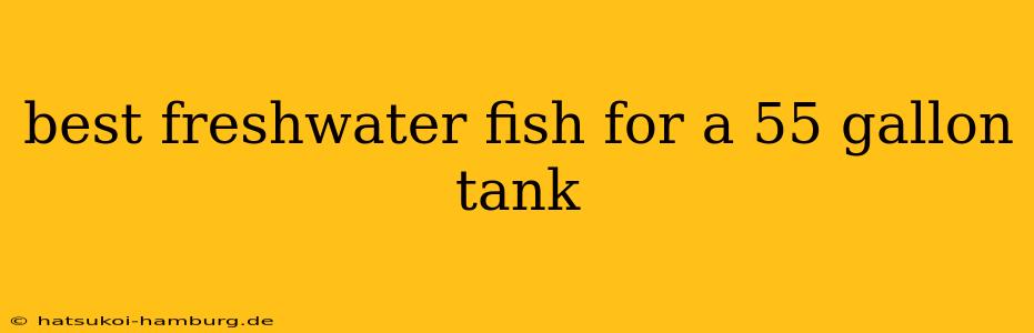 best freshwater fish for a 55 gallon tank