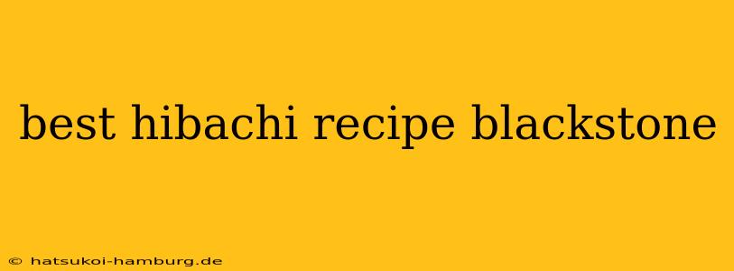 best hibachi recipe blackstone