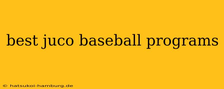 best juco baseball programs