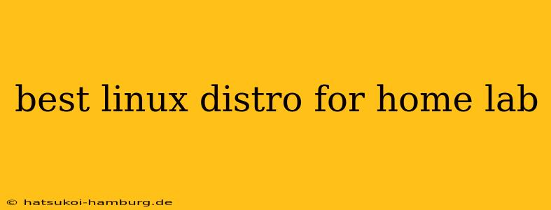 best linux distro for home lab