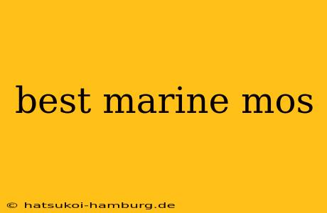 best marine mos