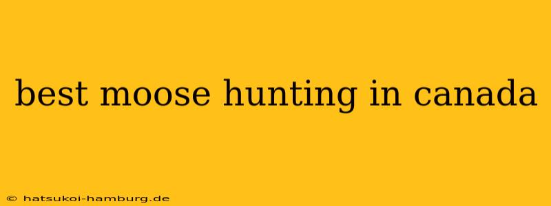 best moose hunting in canada