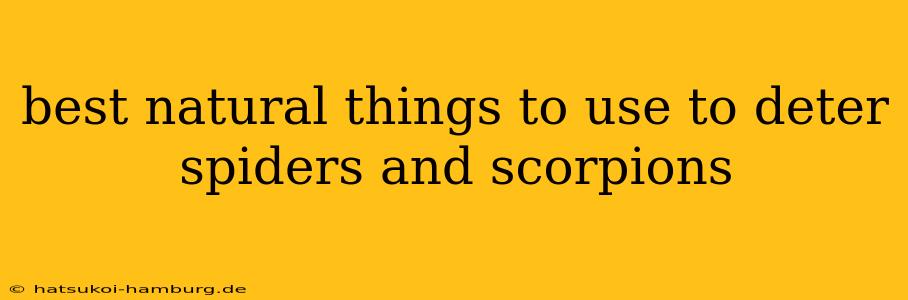 best natural things to use to deter spiders and scorpions