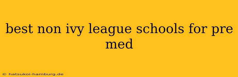 best non ivy league schools for pre med