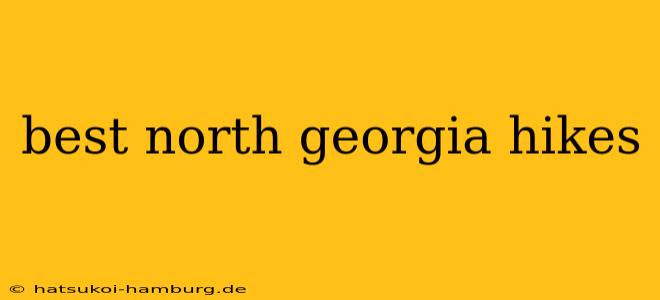 best north georgia hikes