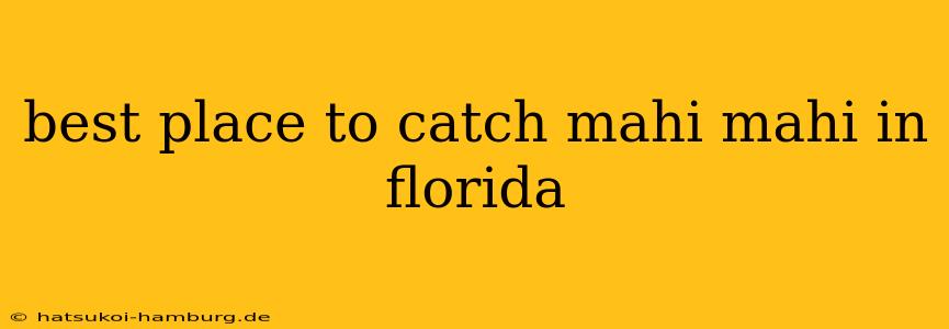 best place to catch mahi mahi in florida