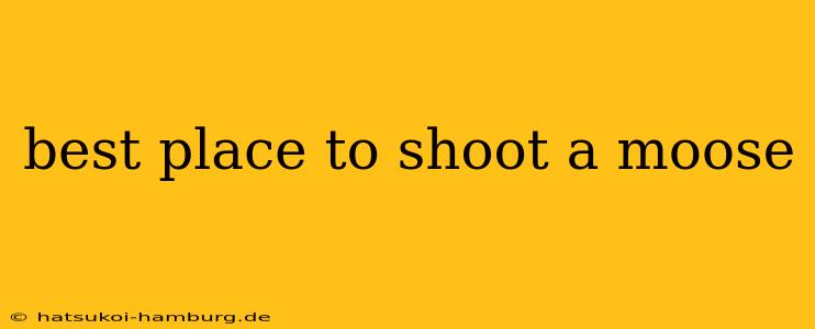 best place to shoot a moose
