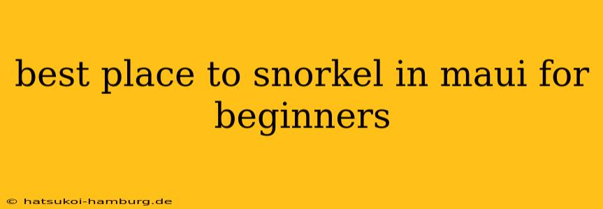 best place to snorkel in maui for beginners