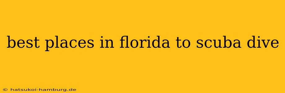 best places in florida to scuba dive