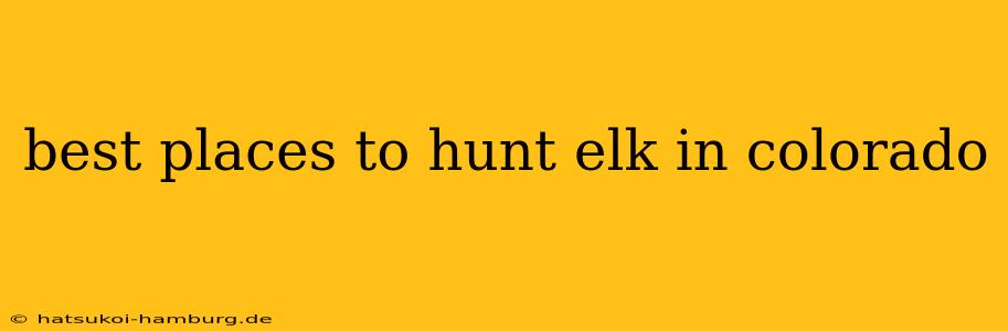 best places to hunt elk in colorado