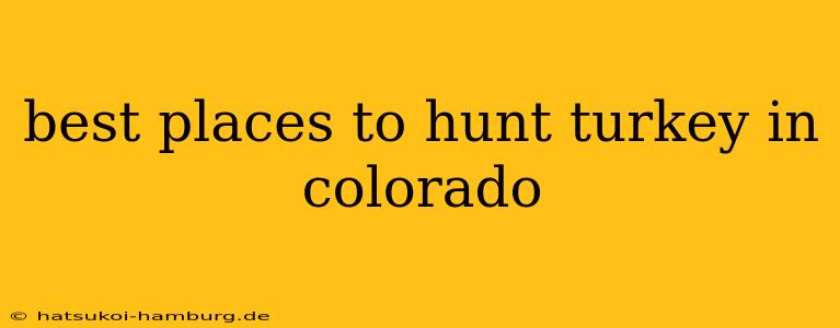 best places to hunt turkey in colorado