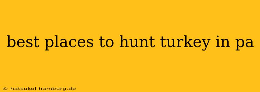 best places to hunt turkey in pa