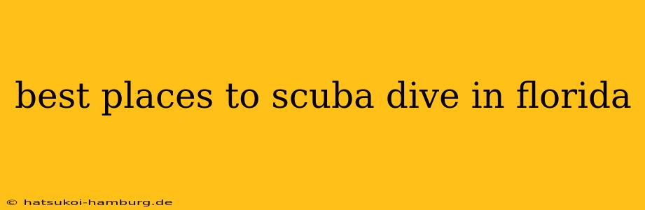 best places to scuba dive in florida