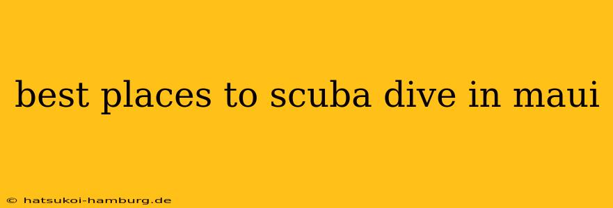 best places to scuba dive in maui