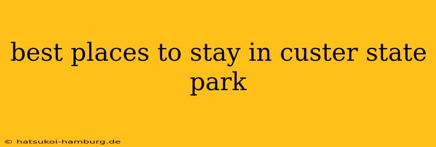 best places to stay in custer state park