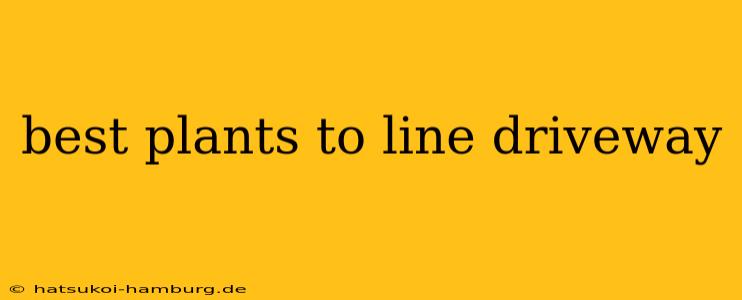 best plants to line driveway