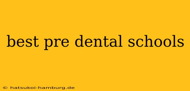 best pre dental schools