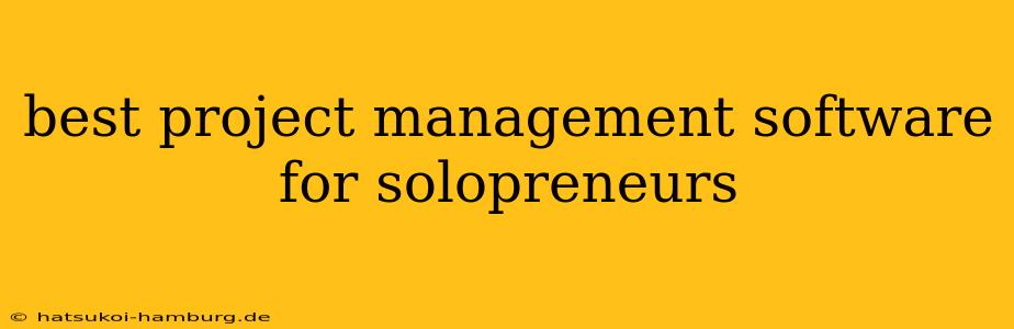 best project management software for solopreneurs