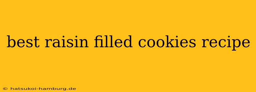 best raisin filled cookies recipe