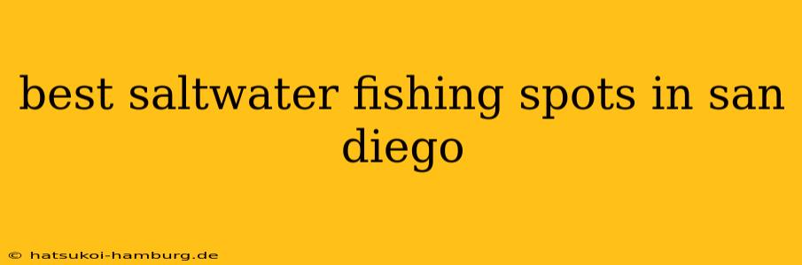 best saltwater fishing spots in san diego