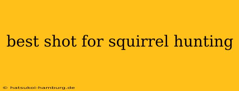 best shot for squirrel hunting