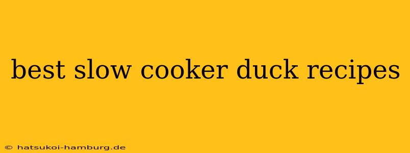 best slow cooker duck recipes