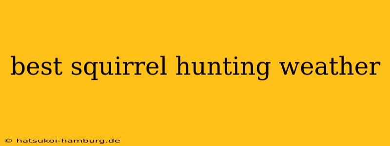 best squirrel hunting weather