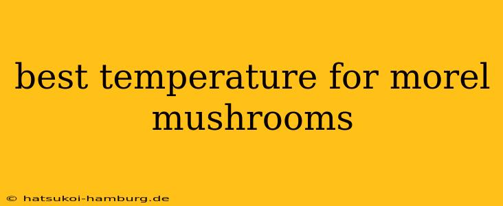 best temperature for morel mushrooms