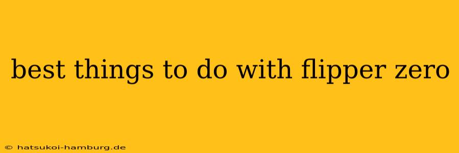 best things to do with flipper zero