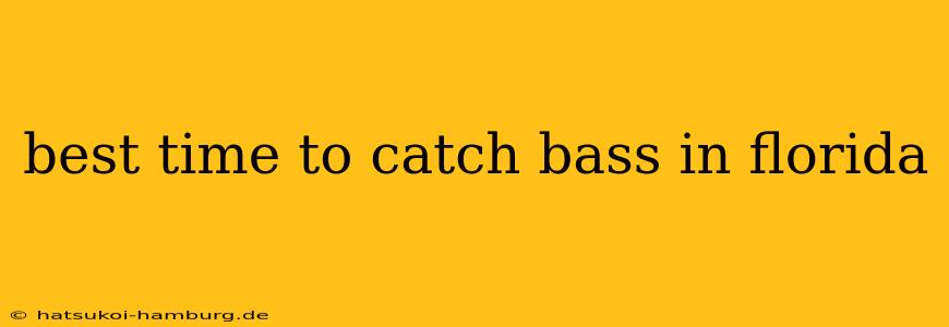 best time to catch bass in florida