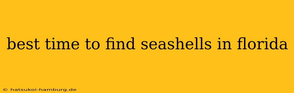 best time to find seashells in florida