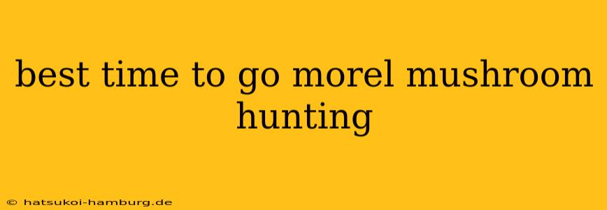 best time to go morel mushroom hunting
