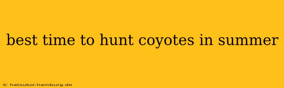 best time to hunt coyotes in summer