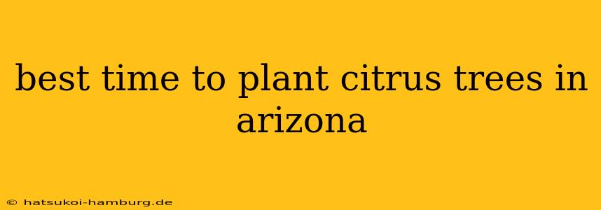 best time to plant citrus trees in arizona