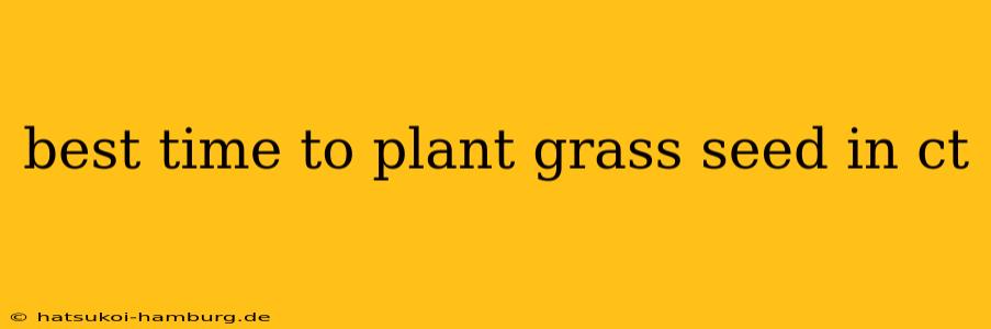 best time to plant grass seed in ct