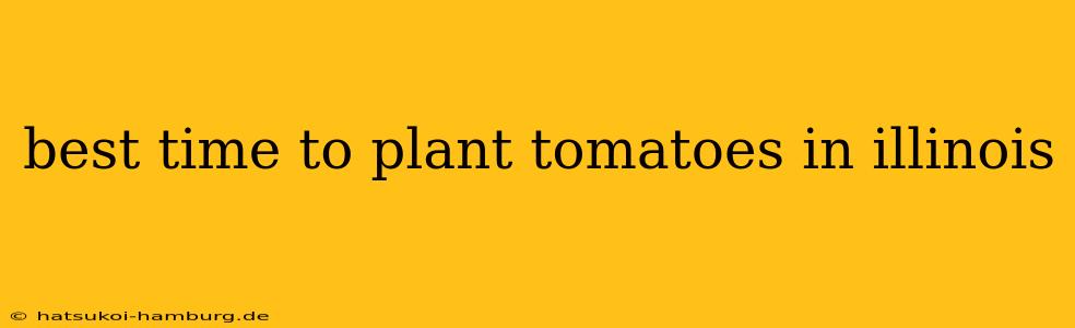best time to plant tomatoes in illinois