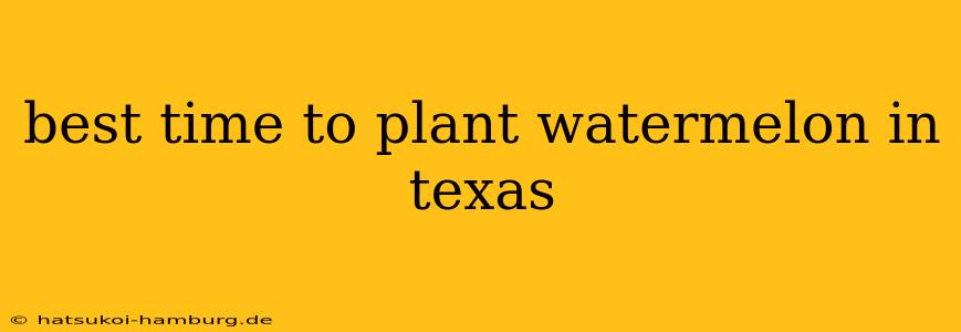 best time to plant watermelon in texas