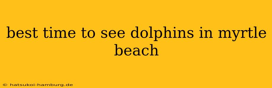best time to see dolphins in myrtle beach
