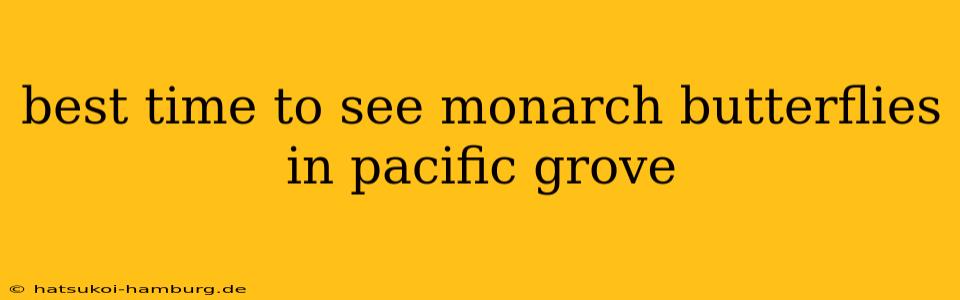 best time to see monarch butterflies in pacific grove