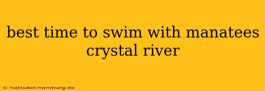 best time to swim with manatees crystal river