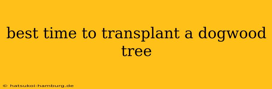 best time to transplant a dogwood tree